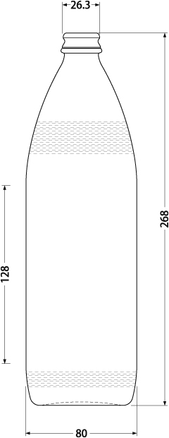 SNN900 びん線図